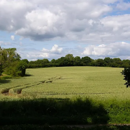 Wensleydale * מסהאם